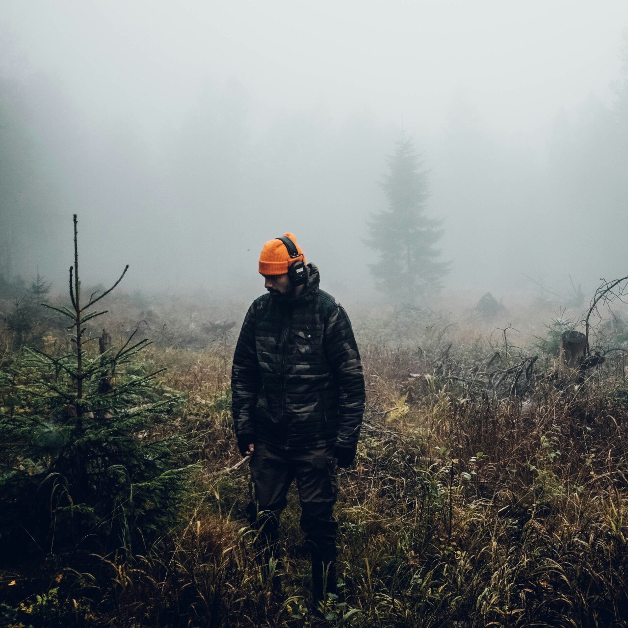 jakt-fredrik-ohlander-zFCnmzG8cXA-unsplash_1-1