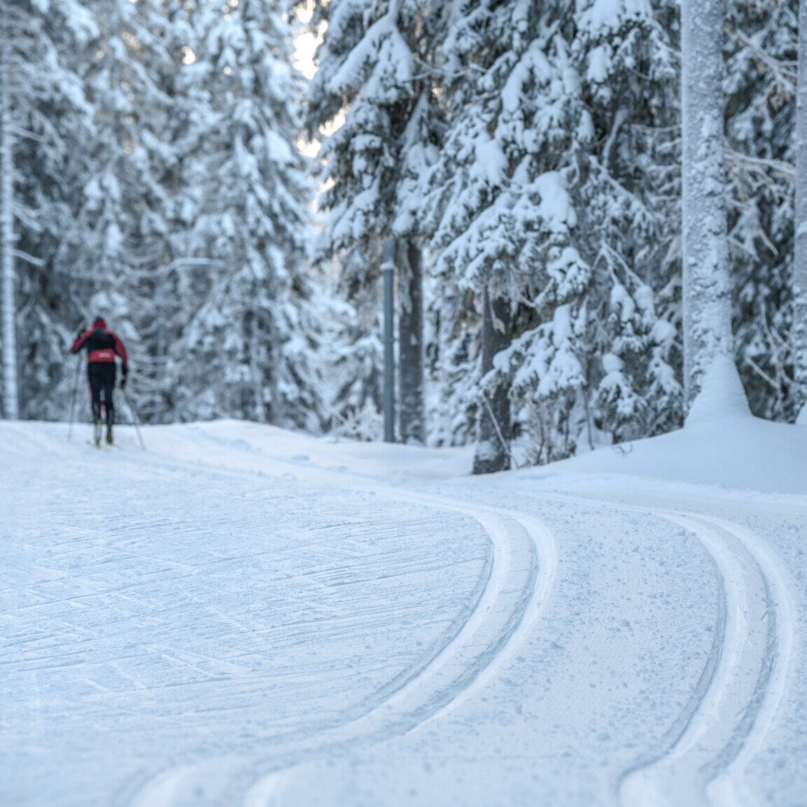 Längdåkning-Foto-Göran-Strand_1-1