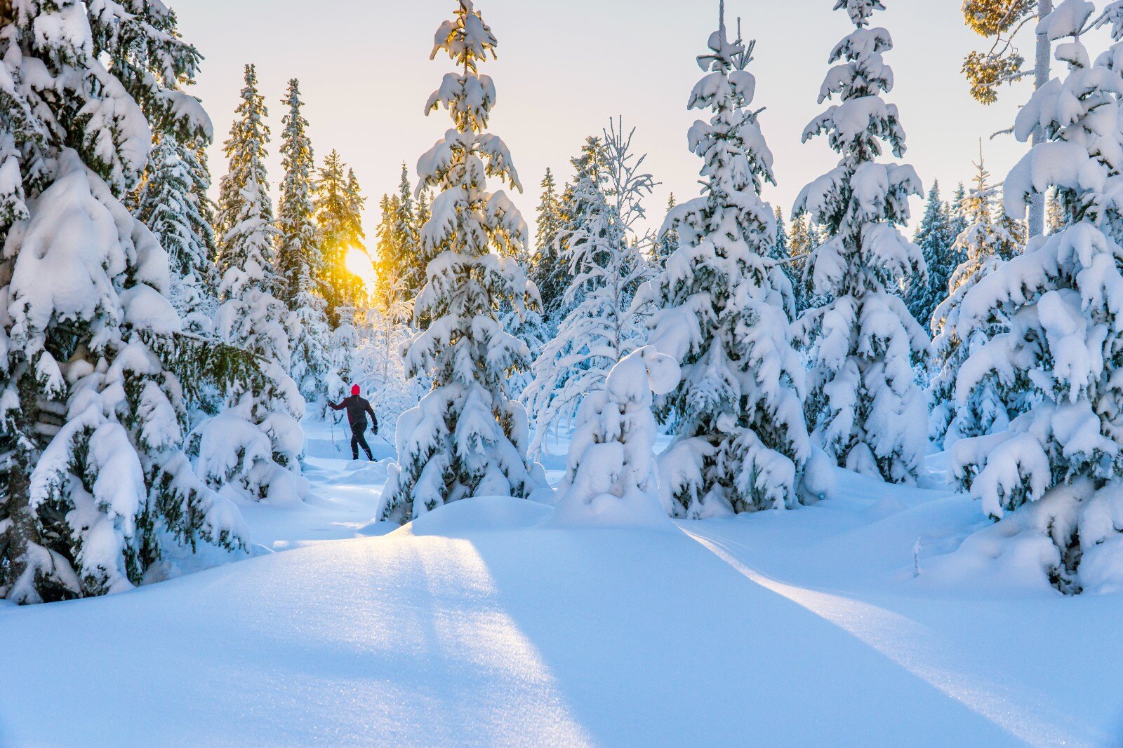 Spikbodarna-vinter-Foto-Håkan-Wike_1600x1067