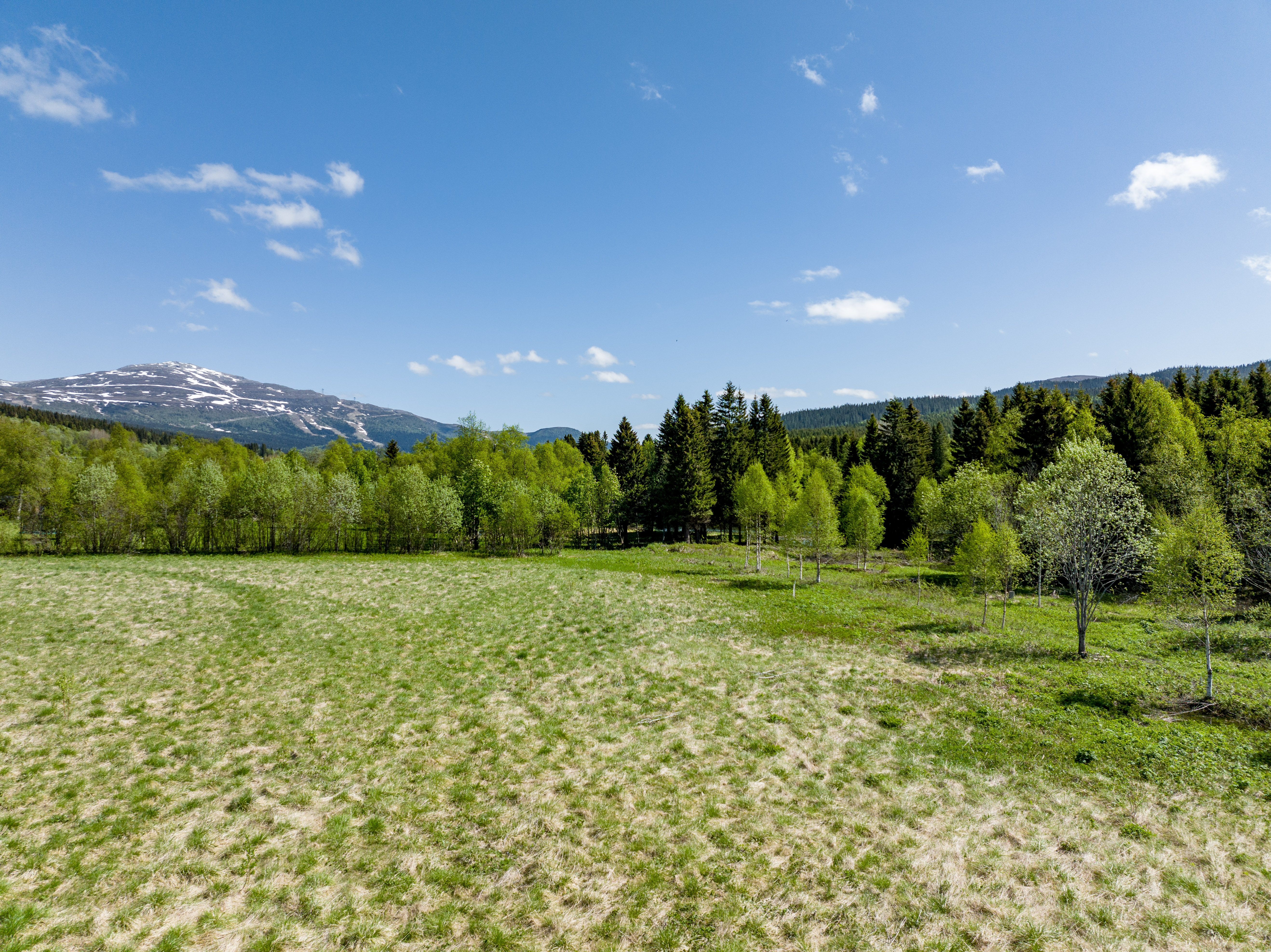 DuvdeStrand, BearPeak Åre DuvdeStrand, BearPeak Åre